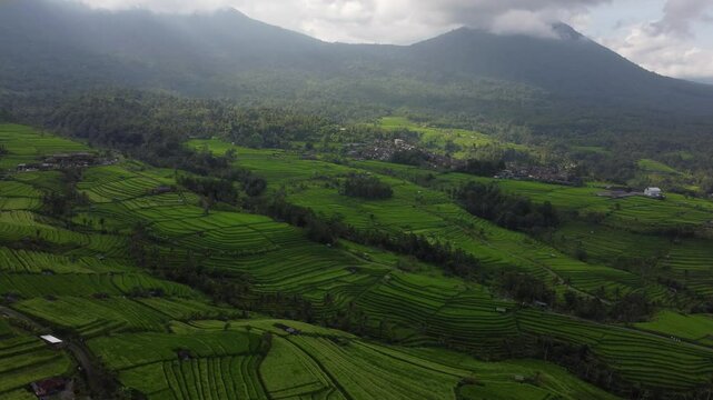 Multiple views of Bali