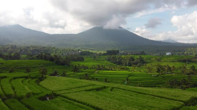 Multiple views of Bali