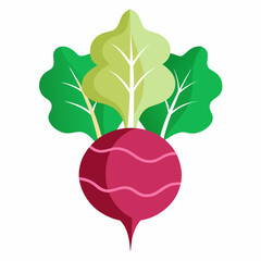 Minimal Beetroot Blossom Design