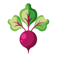 Minimal Beetroot Blossom Design