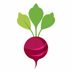 Minimal Beetroot Blossom Design