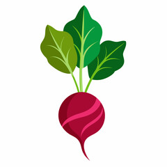 Minimal Beetroot Blossom Design