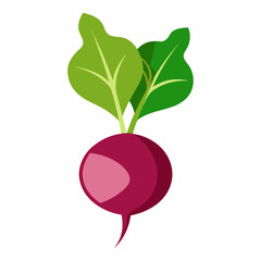 Minimal Beetroot Blossom Design