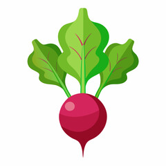 Minimal Beetroot Blossom Design