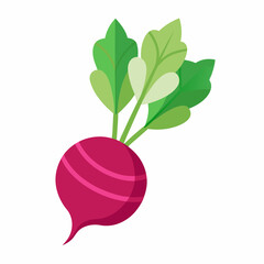 Minimal Beetroot Blossom Design