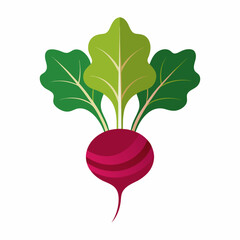 Minimal Beetroot Blossom Design