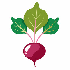 Minimal Beetroot Blossom Design