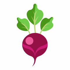 Minimal Beetroot Blossom Design