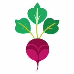 Minimal Beetroot Blossom Design