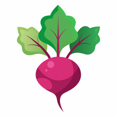 Minimal Beetroot Blossom Design