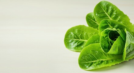 Bright green lettuce leaves attractively arranged on a pale background, highlighting fresh, wholesome eating habits. copy space