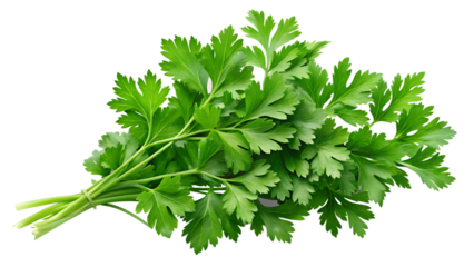 parsley isolated on white background
