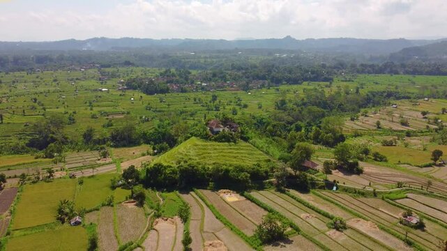 Multiple views of Bali