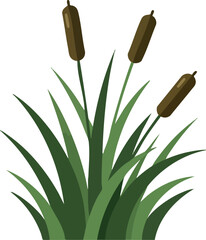 Green Cattail Plant Vector Illustration with Brown Seed Heads for Nature Design 