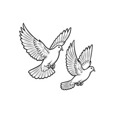 Fototapeta premium Two flying doves in mid-air, symbolizing peace and freedom