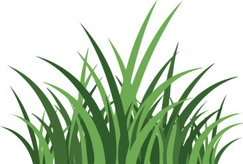 Green grass blades natural vector illustration with fresh outdoor vegetation elements 