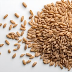 Obraz premium sunflower seeds on white background