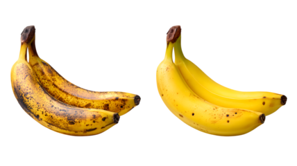A comparison of ripe bananas showcasing different stages of maturity against a background highlighting the fruit?s natural textures and colors.