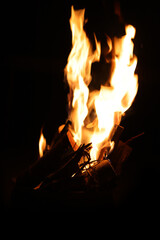 Close-up Shot of a Bonfire Flame in the Dark – Captivating Fire Texture and Burning Wood with Intense Heat, Perfect for Background