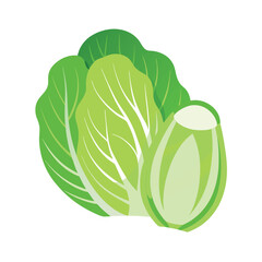 Fresh Green Lettuce Healthy Eating, Vitamins, and Culinary Uses