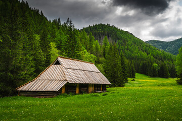 Shepherd's hut in Jaworzynka meadow in Tatra Mountains, Landscape Photography
