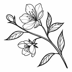 Hand Drawn Rose Composition in Black and White Style.