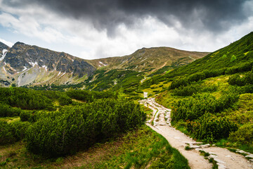 Gąsienicowa valley in the Tatra Mountains , Landscape Photography
