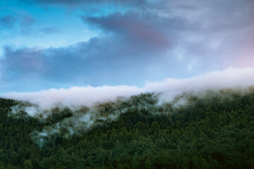 Clouds over forest in the mountains. Beautiful landscape photography of clouds falling on a forest in the mountains.