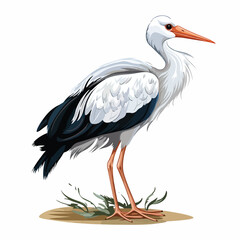 Fototapeta premium Stork Bird Animal Vector Illustration Isolated on White Background for Wildlife Design Projects