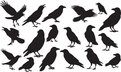 Crow Silhouettes Vector Pack