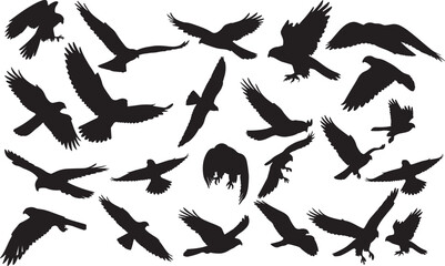 Falcon Silhouettes Vector Pack