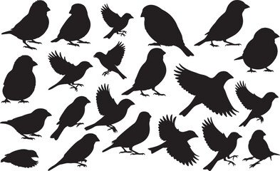 Finch Silhouettes Vector Pack