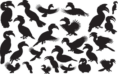 Hornbill Silhouettes Vector Pack