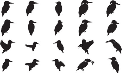 Obraz premium Kingfisher Silhouettes Vector Pack