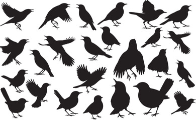 Nightingale Silhouettes Vector Pack
