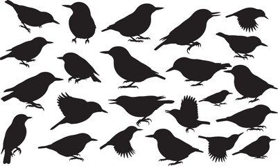 Nuthatch Silhouettes Vector Pack