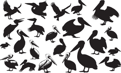 Pelican Silhouettes Vector Pack
