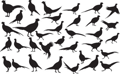 Pheasant Silhouettes Vector Pack