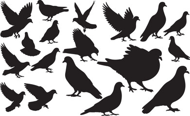 Pigeon Silhouettes Vector Pack