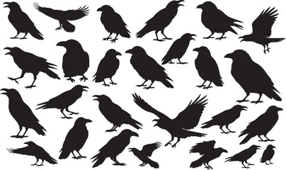 Raven Silhouettes Vector Pack