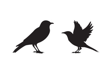 Bird Silhouette Vector Set Flying and Standing Bird Black Silhouettes Isolated