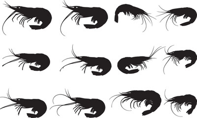 Shrimp Silhouettes Vector Pack