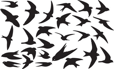 Swift Silhouettes Vector Pack