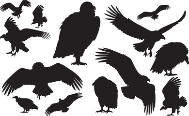 Vulture Silhouettes Vector Pack
