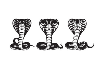 Cobra Snake Vector Illustrations Aggressive Serpent Tattoo Design