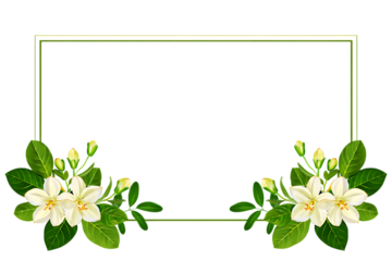 Elegant Floral Frame White Flowers and Green Leaves Border Design
