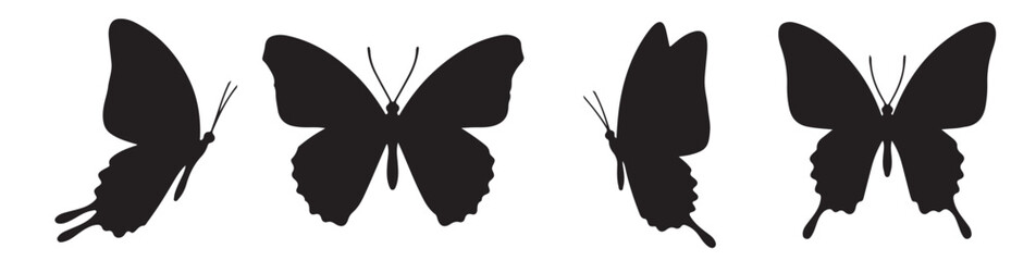 Butterfly Silhouettes: A collection of elegant butterfly silhouettes, captured in various graceful positions against a contrasting backdrop.