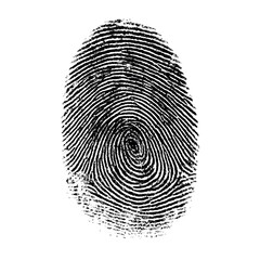 Detailed forensic fingerprint isolated against background demonstrating unique ridge patterns and identity verification security concept