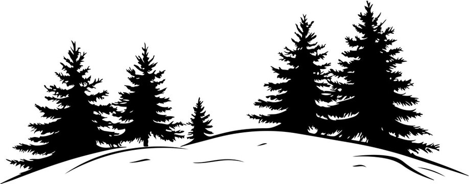 silhouette of pine trees on snowy hill