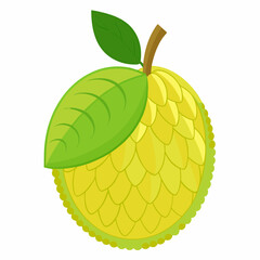 Minimal Jackfruit Vector on White